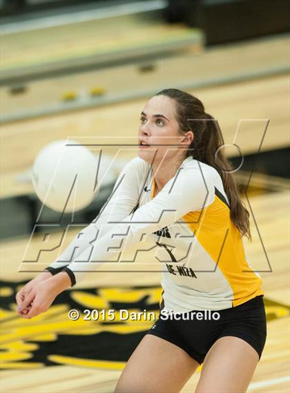 Thumbnail 1 in Cesar Chavez @ Marcos de Niza photogallery.