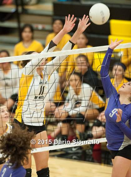 Thumbnail 3 in Cesar Chavez @ Marcos de Niza photogallery.