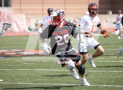 Thumbnail 1 in Wellesley @ Newton North (MIAA D1 South 1st Round) photogallery.