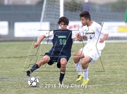 Thumbnail 1 in Weddington @ Porter Ridge photogallery.