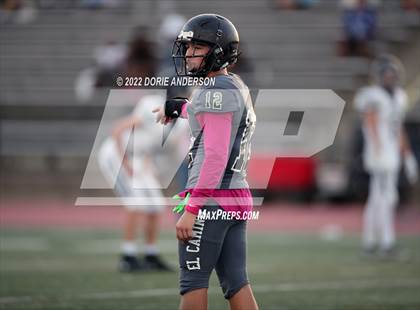 Thumbnail 3 in Vista del Lago @ El Camino photogallery.