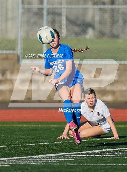 Thumbnail 1 in Ridgefield vs. Columbia River (WIAA 2A Playoffs) photogallery.