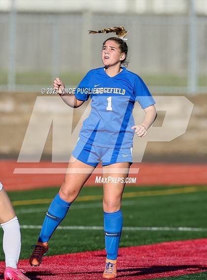 Thumbnail 2 in Ridgefield vs. Columbia River (WIAA 2A Playoffs) photogallery.
