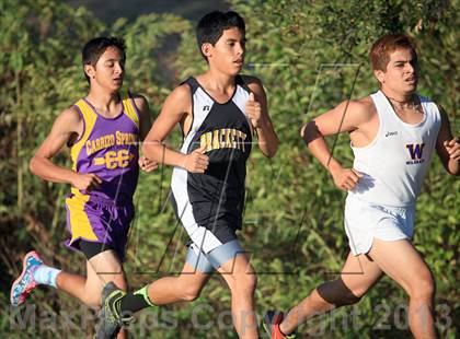 Thumbnail 3 in Uvalde Classic photogallery.