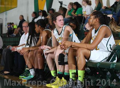Thumbnail 1 in Knight @ Canyon (CIF SS Playoffs) photogallery.
