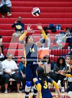 Photo from the gallery "Cypress Ranch @ Cypress Woods"
