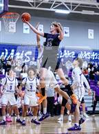 Photo from the gallery "North Creek @ Lake Washington"