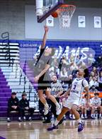 Photo from the gallery "North Creek @ Lake Washington"