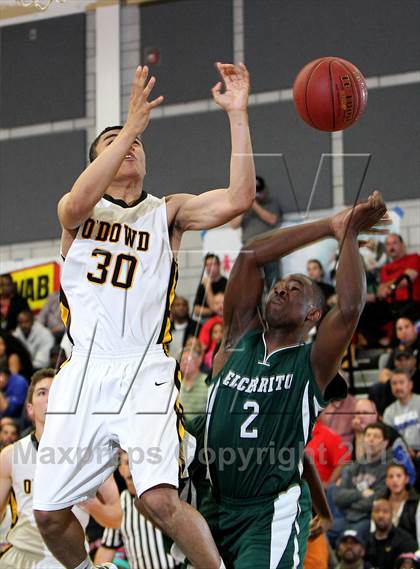 Thumbnail 3 in El Cerrito vs. Bishop O'Dowd (CIF NCS D3 Final) photogallery.