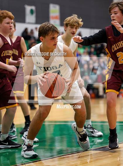 Thumbnail 1 in Collinsville @ Tioga photogallery.