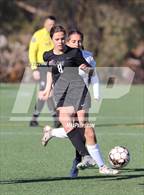 Photo from the gallery "Windsor @ Monte Vista"