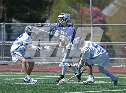 Thumbnail 1 in Rocky Hill @ Glastonbury photogallery.