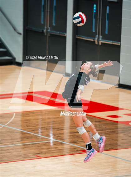 Thumbnail 2 in Sparkman @ Bob Jones photogallery.