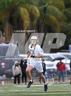 Photo from the gallery "Redwood @ Foothill"