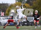 Photo from the gallery "Redwood @ Foothill"