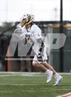 Photo from the gallery "Redwood @ Foothill"