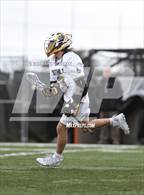 Photo from the gallery "Redwood @ Foothill"