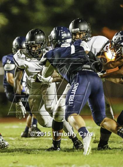 Thumbnail 2 in Monarch @ Taravella photogallery.