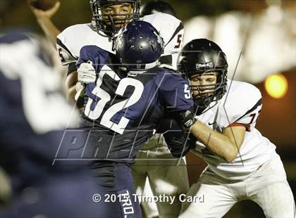 Thumbnail 3 in Monarch @ Taravella photogallery.