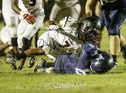 Thumbnail 3 in Monarch @ Taravella photogallery.