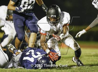 Thumbnail 2 in Monarch @ Taravella photogallery.