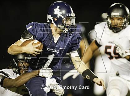 Thumbnail 1 in Monarch @ Taravella photogallery.