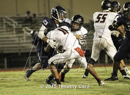 Thumbnail 1 in Monarch @ Taravella photogallery.