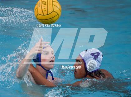 Thumbnail 3 in College Park @ Alhambra photogallery.