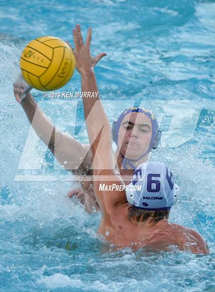Thumbnail 3 in College Park @ Alhambra photogallery.