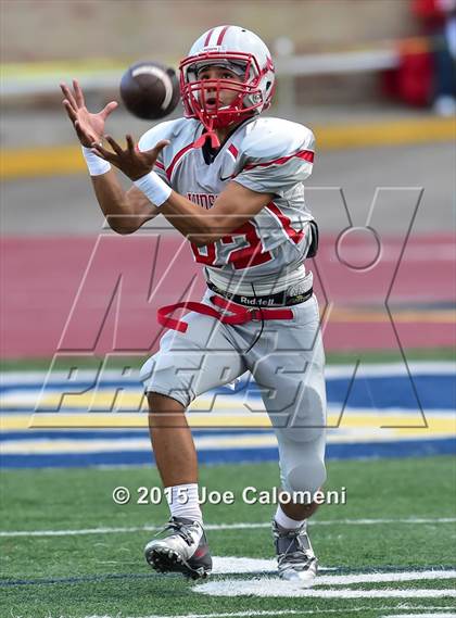 Thumbnail 3 in Judson @ Steele  photogallery.