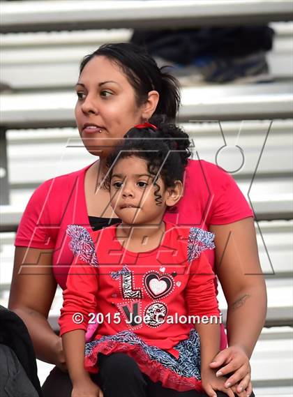 Thumbnail 3 in Judson @ Steele  photogallery.