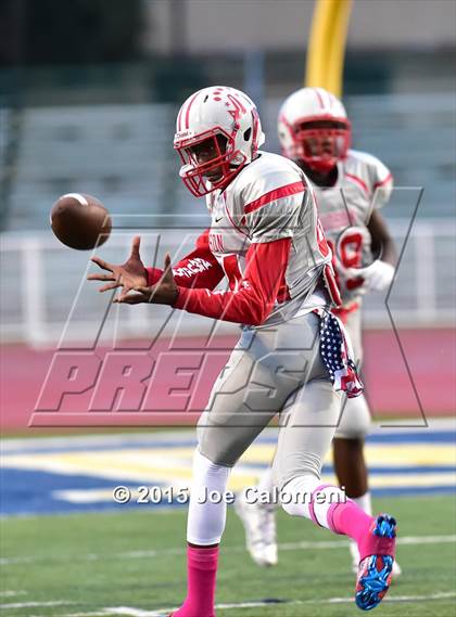 Thumbnail 1 in Judson @ Steele  photogallery.