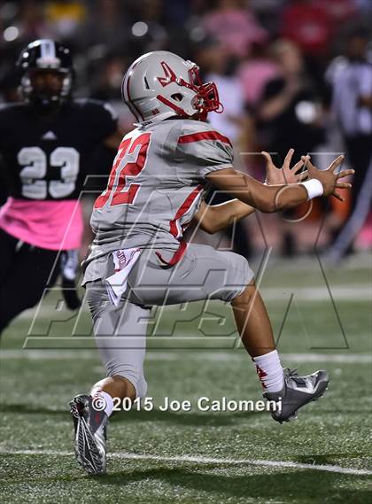 Thumbnail 2 in Judson @ Steele  photogallery.