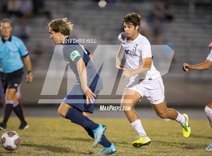 Thumbnail 2 in River Ridge @ Palm Harbor University photogallery.