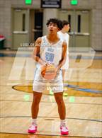 Photo from the gallery "Cholla @ Mica Mountain"