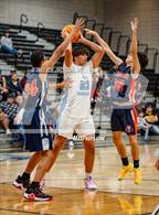 Photo from the gallery "Cholla @ Mica Mountain"