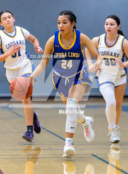 Thumbnail 1 in Terra Linda @ Newark Memorial photogallery.