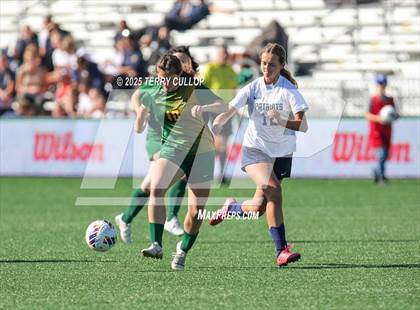 Thumbnail 1 in American Heritage vs. St. Joseph (UHSAA 2A Semi Final) photogallery.