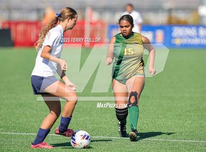 Thumbnail 1 in American Heritage vs. St. Joseph (UHSAA 2A Semi Final) photogallery.