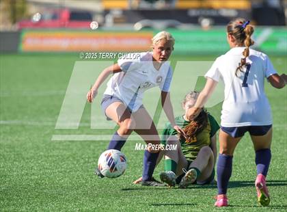 Thumbnail 3 in American Heritage vs. St. Joseph (UHSAA 2A Semi Final) photogallery.