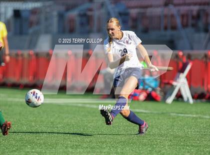 Thumbnail 3 in American Heritage vs. St. Joseph (UHSAA 2A Semi Final) photogallery.