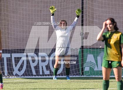 Thumbnail 3 in American Heritage vs. St. Joseph (UHSAA 2A Semi Final) photogallery.