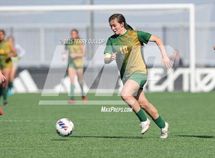 Thumbnail 1 in American Heritage vs. St. Joseph (UHSAA 2A Semi Final) photogallery.