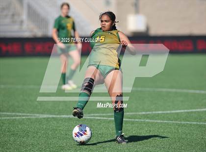 Thumbnail 3 in American Heritage vs. St. Joseph (UHSAA 2A Semi Final) photogallery.