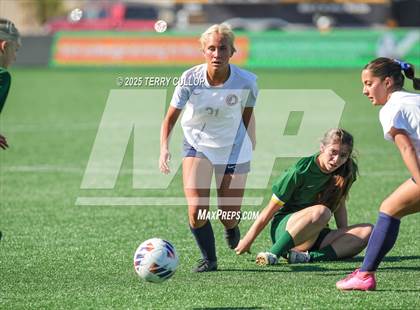 Thumbnail 1 in American Heritage vs. St. Joseph (UHSAA 2A Semi Final) photogallery.