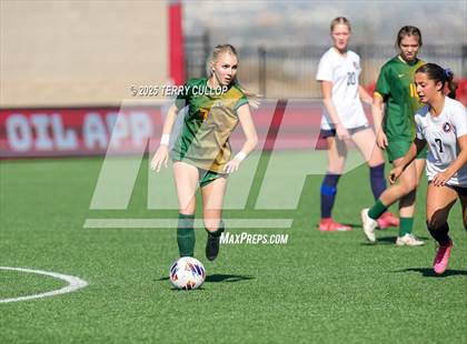 Thumbnail 3 in American Heritage vs. St. Joseph (UHSAA 2A Semi Final) photogallery.