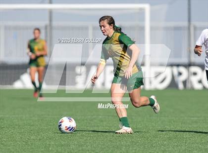 Thumbnail 3 in American Heritage vs. St. Joseph (UHSAA 2A Semi Final) photogallery.