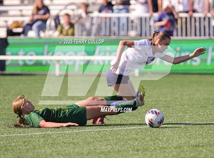 Thumbnail 1 in American Heritage vs. St. Joseph (UHSAA 2A Semi Final) photogallery.