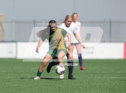 Thumbnail 3 in American Heritage vs. St. Joseph (UHSAA 2A Semi Final) photogallery.