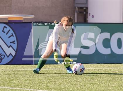 Thumbnail 1 in American Heritage vs. St. Joseph (UHSAA 2A Semi Final) photogallery.